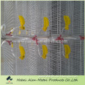 Layer Quail Cages Designed in High-Quality(factory price)